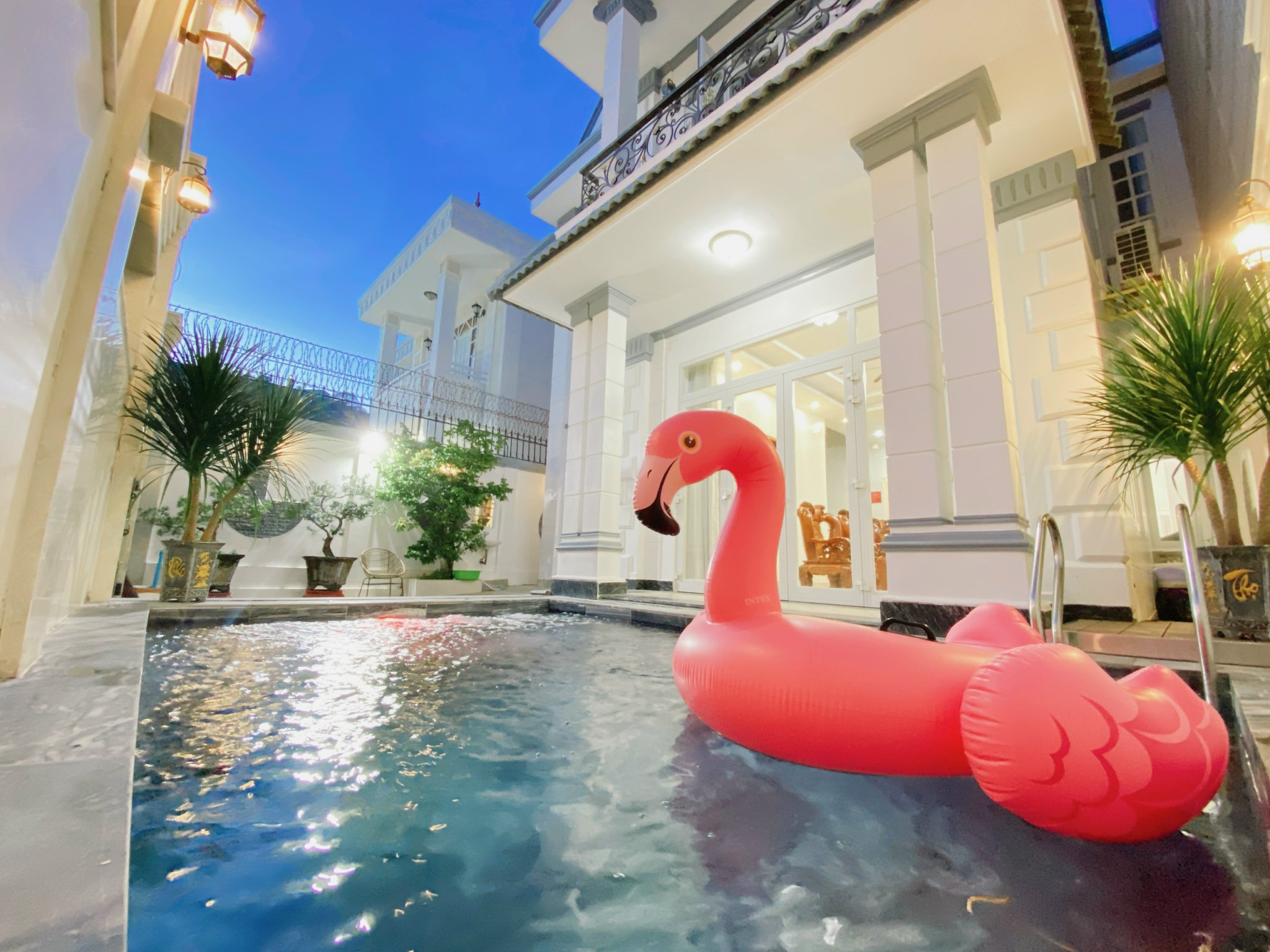 z5663279395898_37c455509c5629555033ceffa1dbfa0d