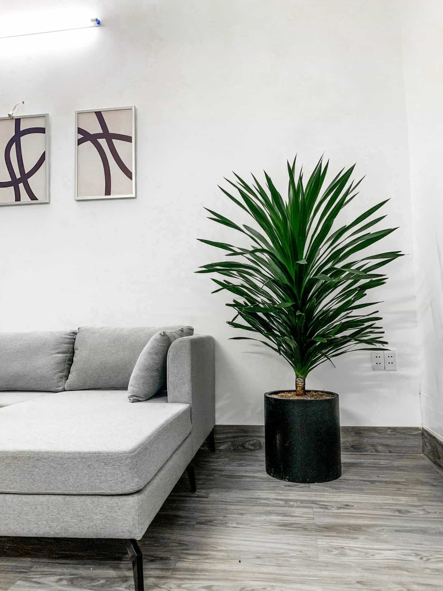 z5670741023416_338c3e543e6c1671e39f09ebf614592b