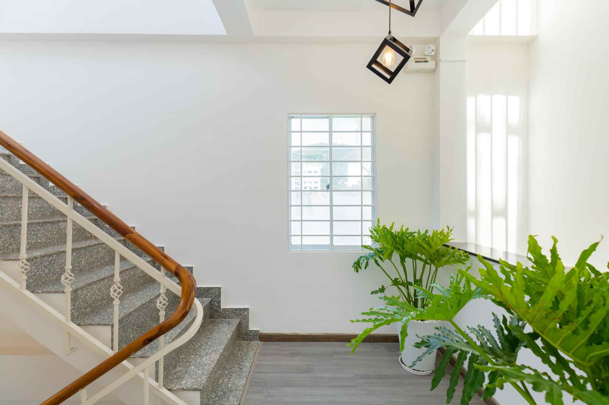 z5745736355847_bac5d9c6a2bece4daf0fbc82c38d1f17